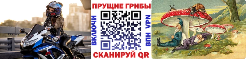 Псилоцибиновые грибы прущие грибы Североморск